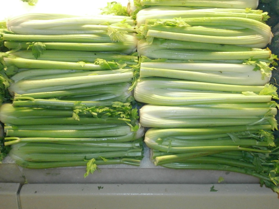 Bunches of fresh green celery stacked in rows at a market