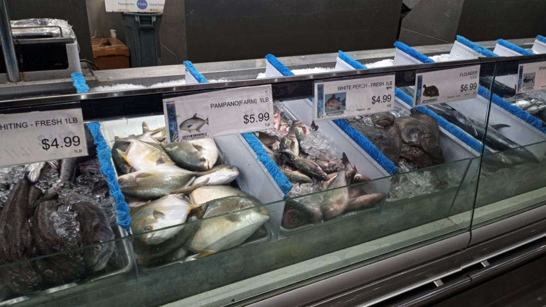 Supermarket fish counter with whiting, farmed pompano, white perch and flounder on ice, each tray labeled with species and whether it was farmed or fresh