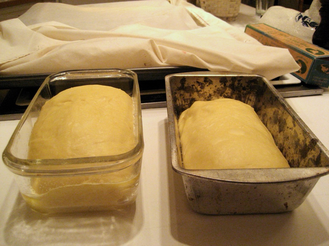 Two loaves of dough proofing side by side, one in a clear glass loaf pan and one in a worn bare-metal loaf pan