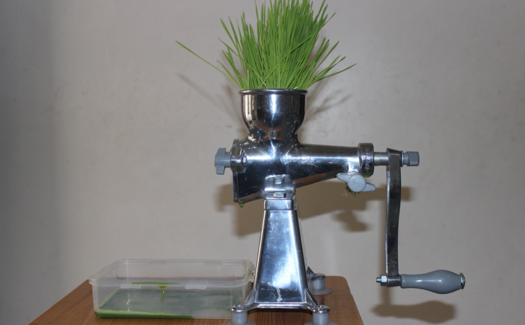 An all-stainless-steel hand-crank juicer on a wooden table with fresh wheatgrass in the hopper