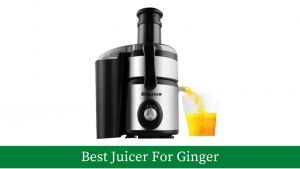 Best Juicer For Ginger
