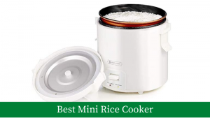 Best mini rice cooker