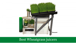 Best wheatgrass juicers