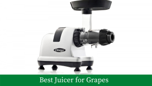 Best Juicer for Grapes