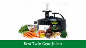 Best twin gear juicers available online