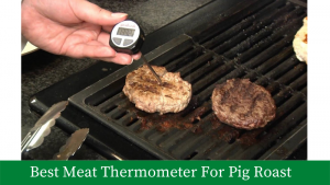 Best Meat Thermometer For Pig Roast