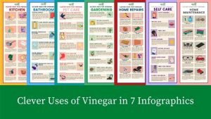 clever uses of vinegar